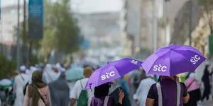 موسم الحج.. “stc” توظف الذكاء الاصطناعي لتعزيز أداء شبكتها - بوابة الكويت
