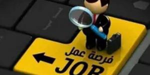 فرص عمل وهمية.. عصابة النصب على الشباب في قبضة الأمن بالدقهلية - بوابة الكويت