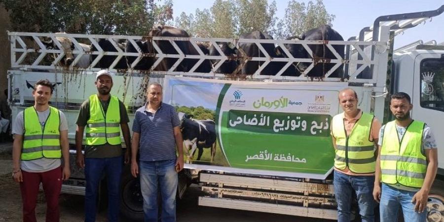 توزيع لحوم على 39 قرية بالأقصر خلال عيد الأضحى - بوابة الكويت