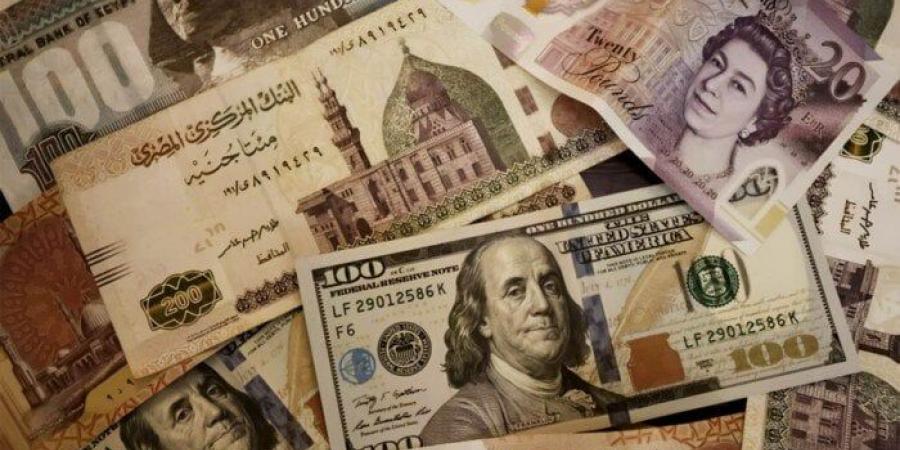 البنك المركزي: 48.526 مليار دولار صافي احتياطي النقد الأجنبي في مصر بنهاية مايو - بوابة الكويت