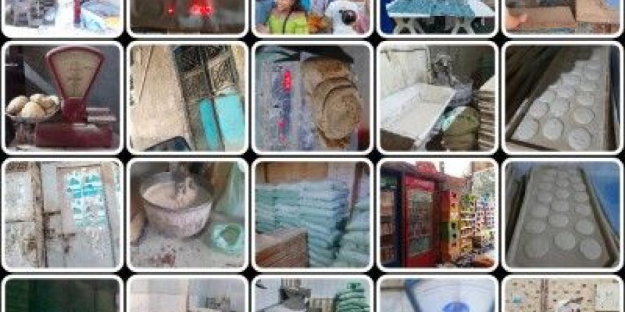 تموين القليوبية تحرر 396 محضرا ومخالفة خلال حملات على الاسواق - بوابة الكويت
