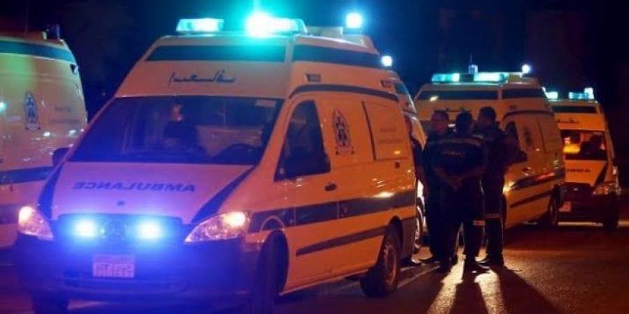 مقتل جزار طعنًا بالسكين في مشاجرة بقرية دفنو في الفيوم - بوابة الكويت