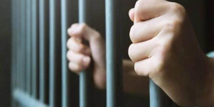 المشدد لسائق لشروعه بقتل شخص وإصابته بعاهة مستديمة بالقناطر الخيرية - بوابة الكويت